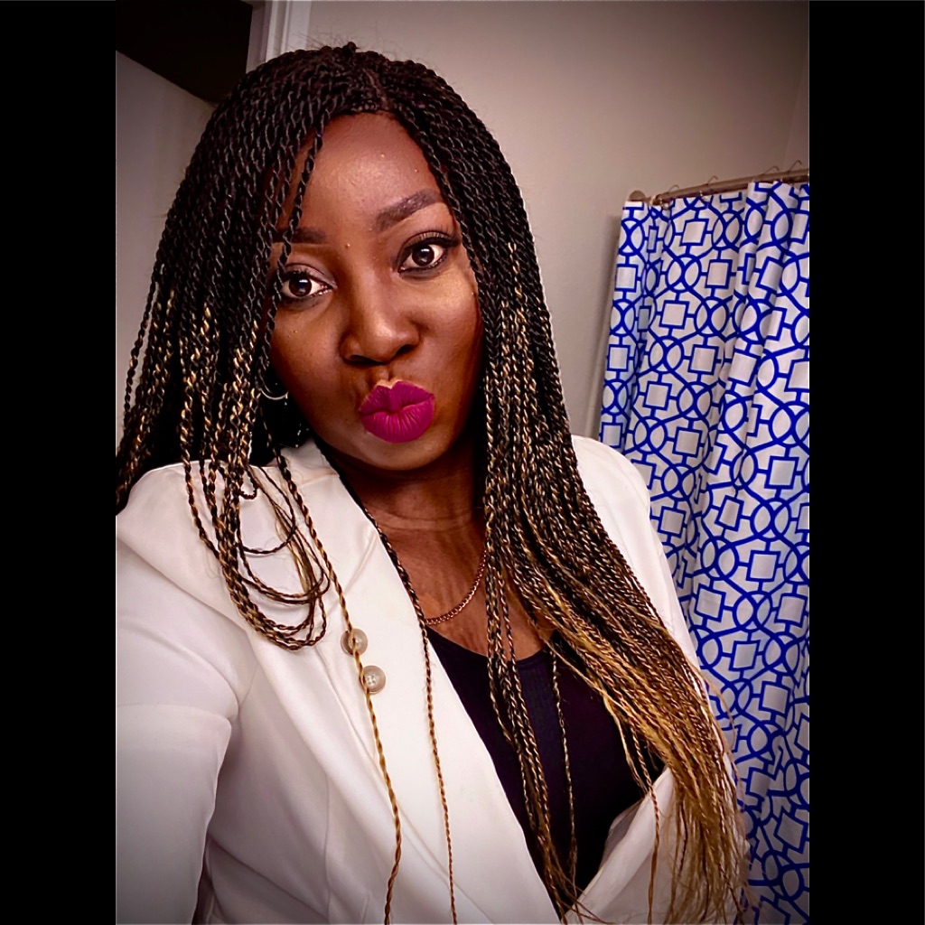 Brand New Hand Made Braids Wigs